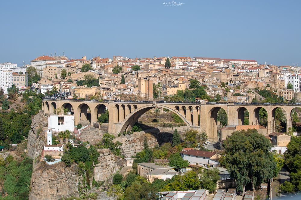 Photograph by barkat Ahmida