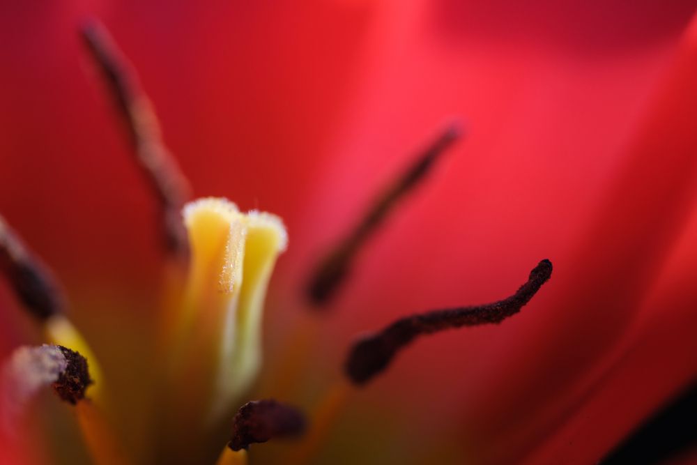 Photograph by Veronika Biró