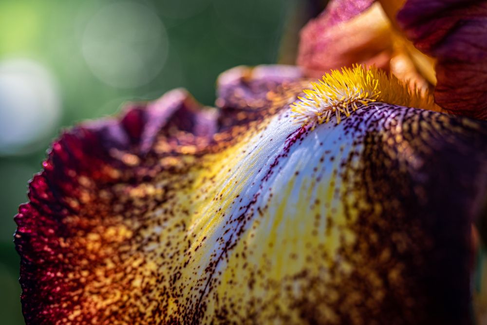 Photograph by Veronika Biró