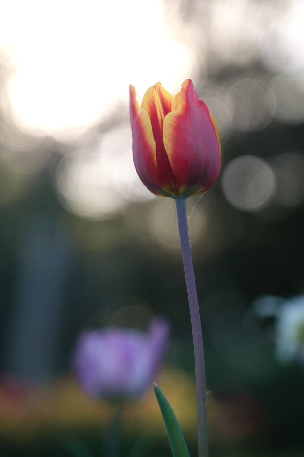 Фотография #13420834