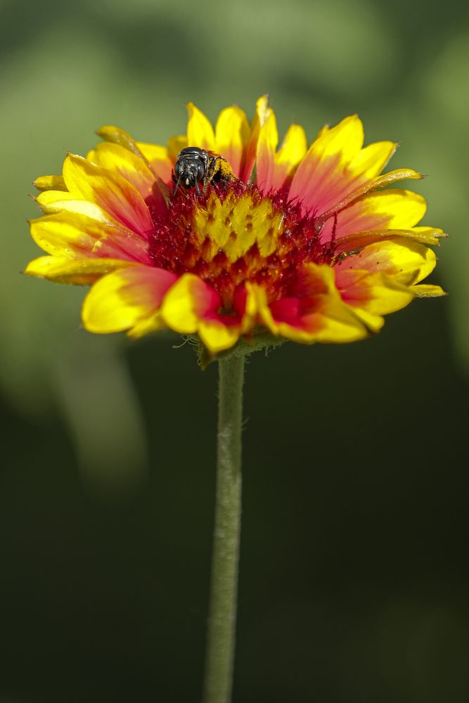 Photograph by Veronika Biró