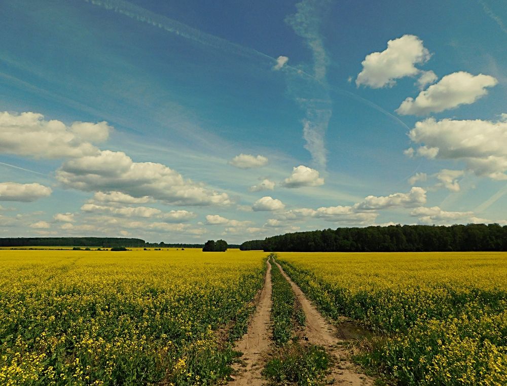 Photograph by Игорь Галеев