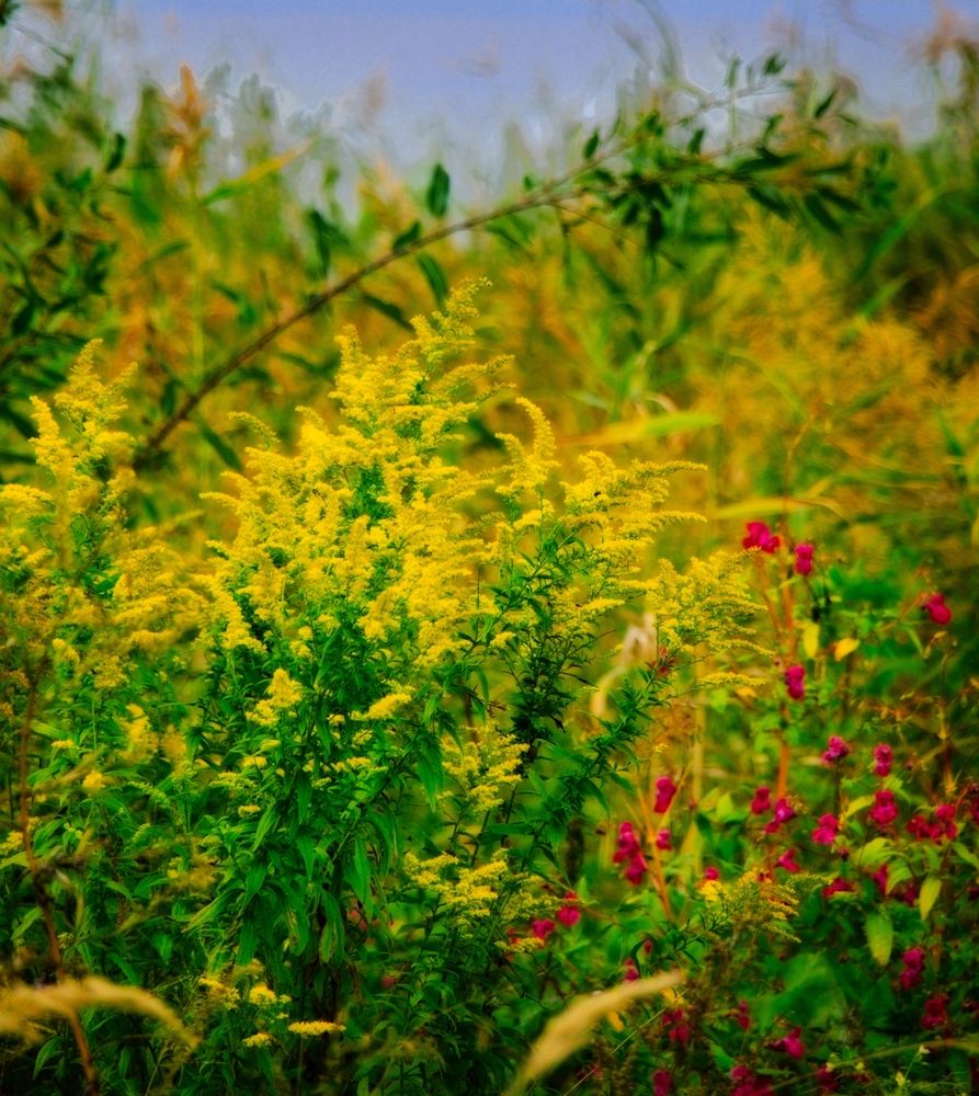 Photograph by Vladimir Chudopalov