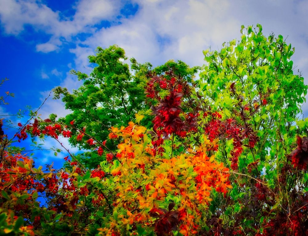 Photograph by Vladimir Chudopalov