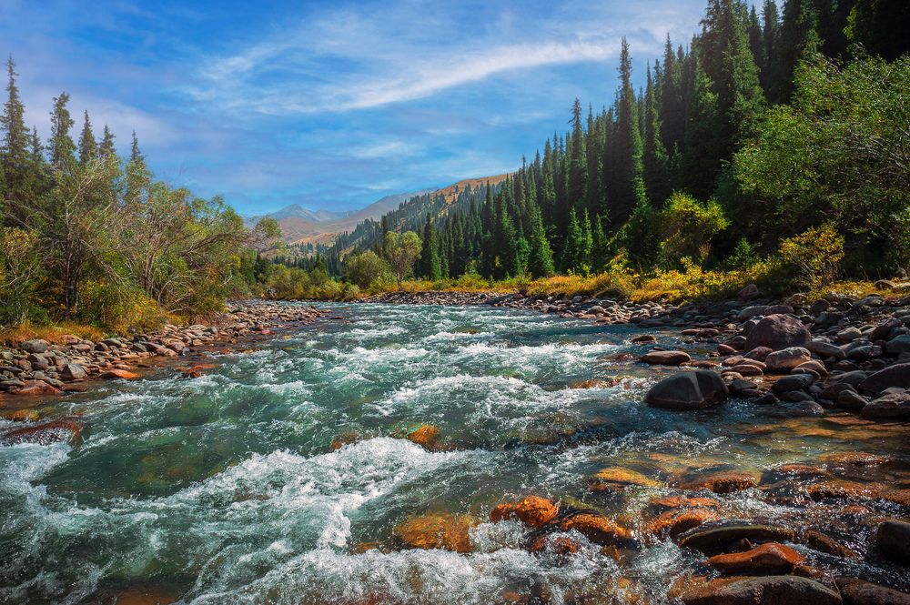 Photograph by Виктор Садырин