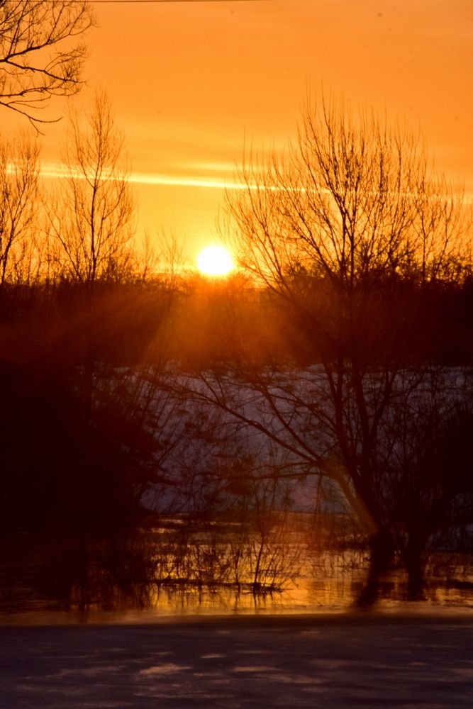 Photograph by Ирина Алексеева