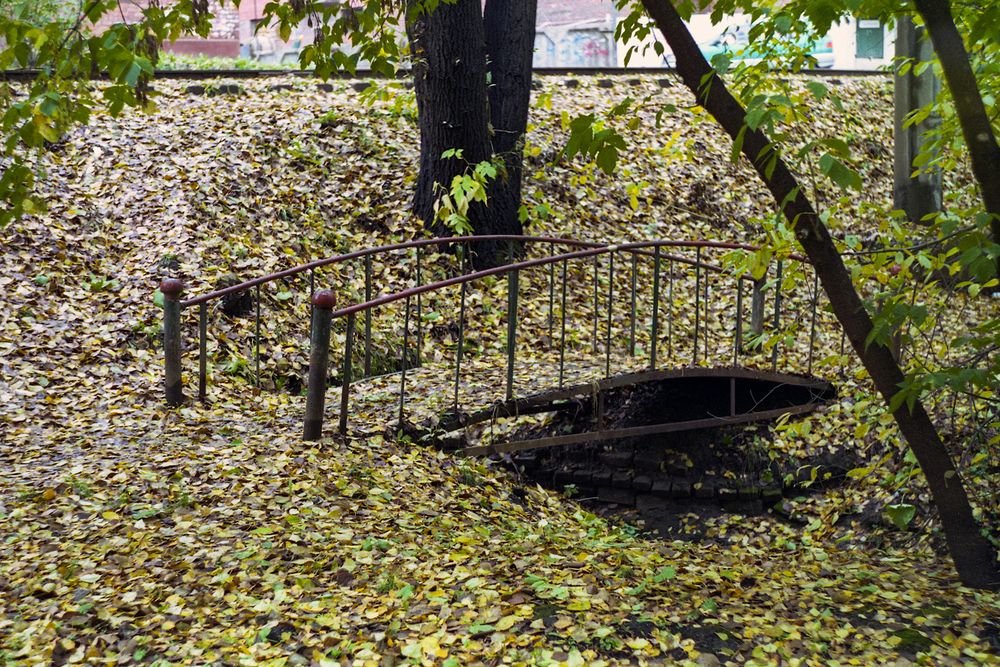 Фотография автора Анатолий Радионов