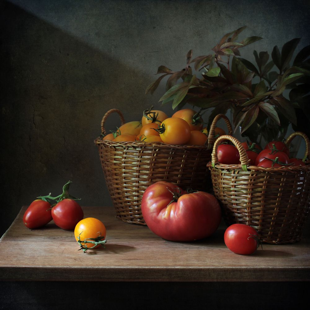 Фотография автора Ганина Галина