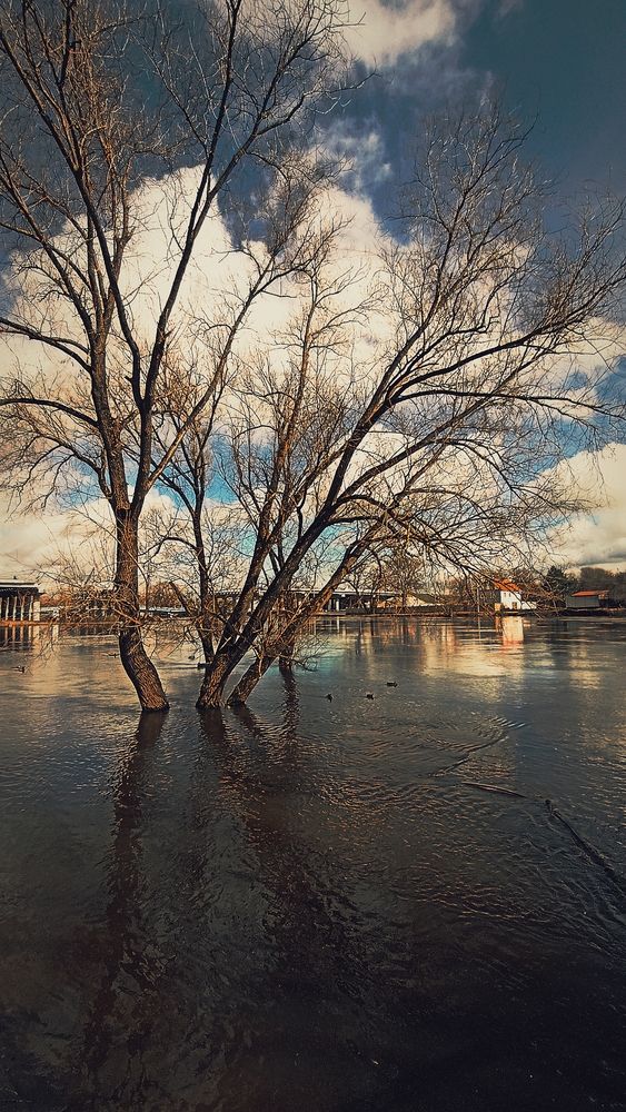 Photograph by Irina Prazdnikova