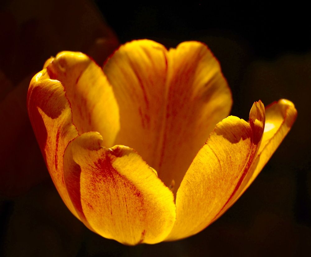 Фотография автора Tatyana Markova