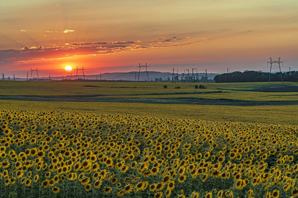 Photograph by Алексей Мякота