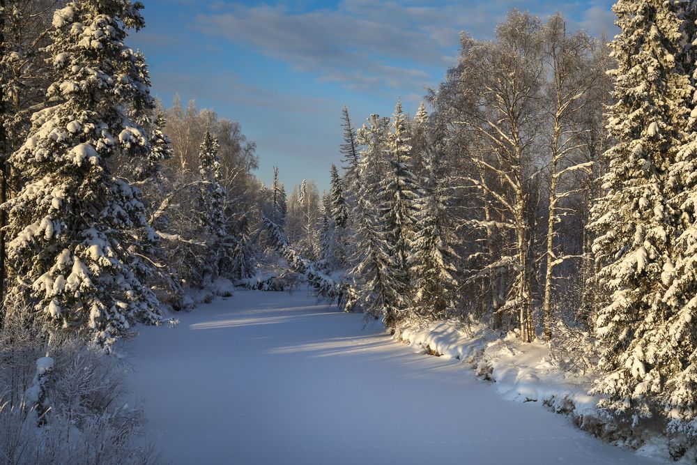 Фотография автора Татьяна Борисова