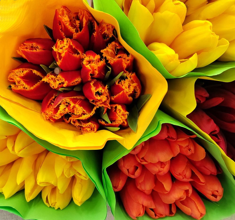 Фотография автора Нестеренко Светлана