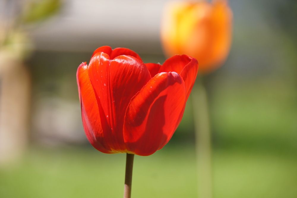 Photograph by Светлана Стрельцова