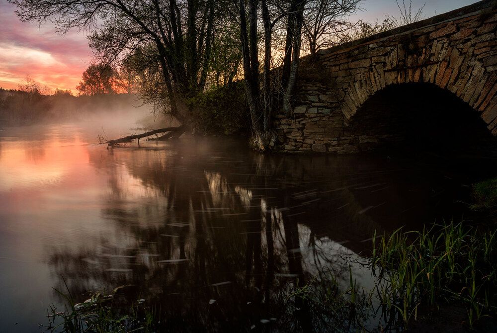 Photograph by Гордейко Анна