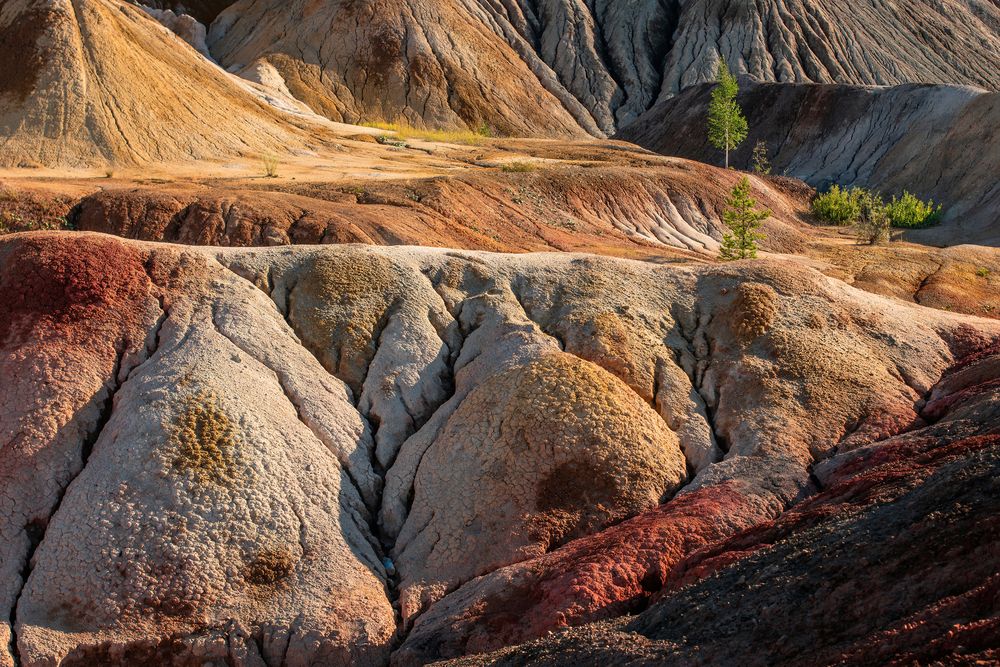 Марсианские хроники