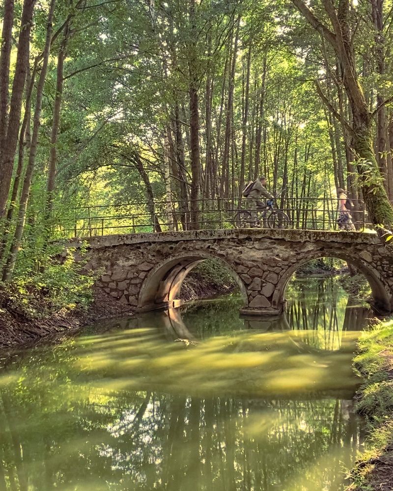 Photograph by Светлана Станевич