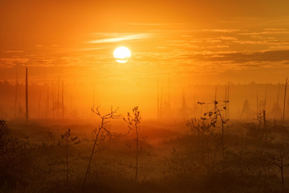 Photograph by Елена Соколова