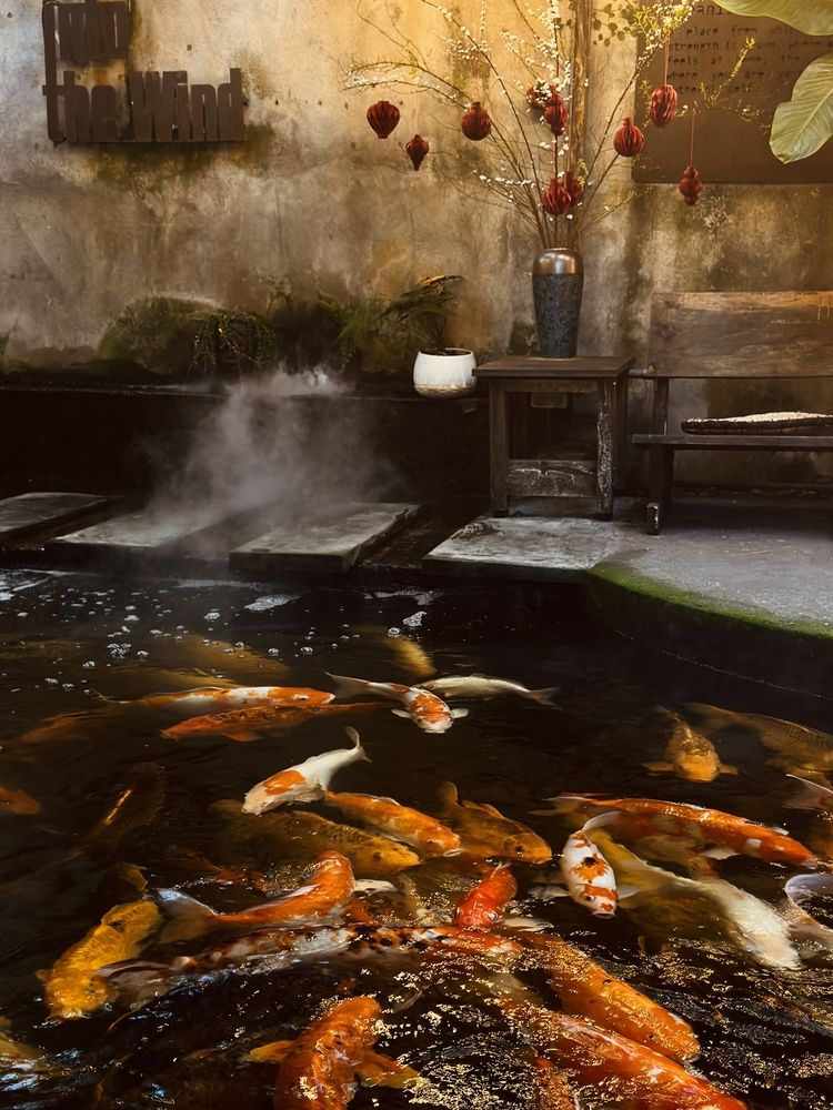 Фотография автора Marina Odintsova