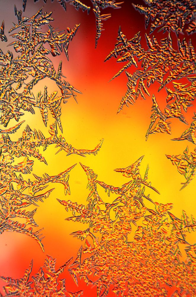 Photograph by Владислав Алмазкин