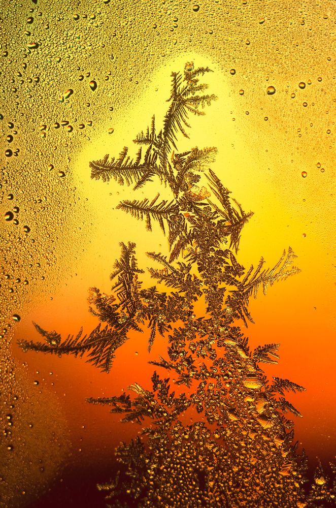 Photograph by Владислав Алмазкин