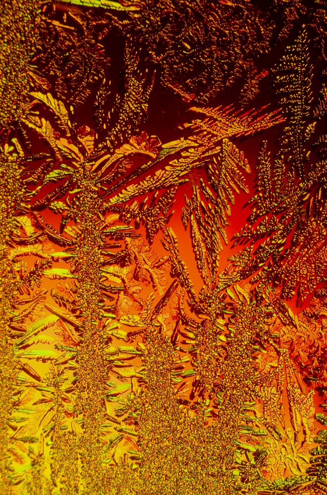 Photograph by Владислав Алмазкин