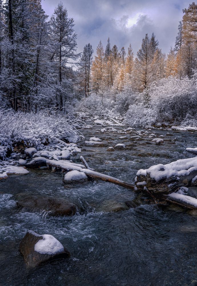 Photograph by Олег Герасимов