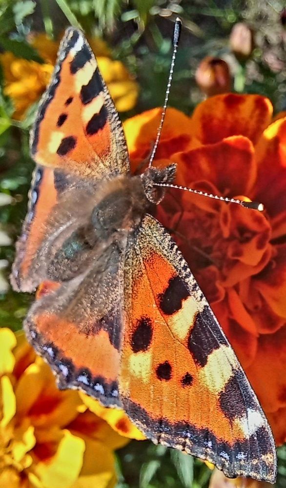 Photograph by Евгений Савулькин