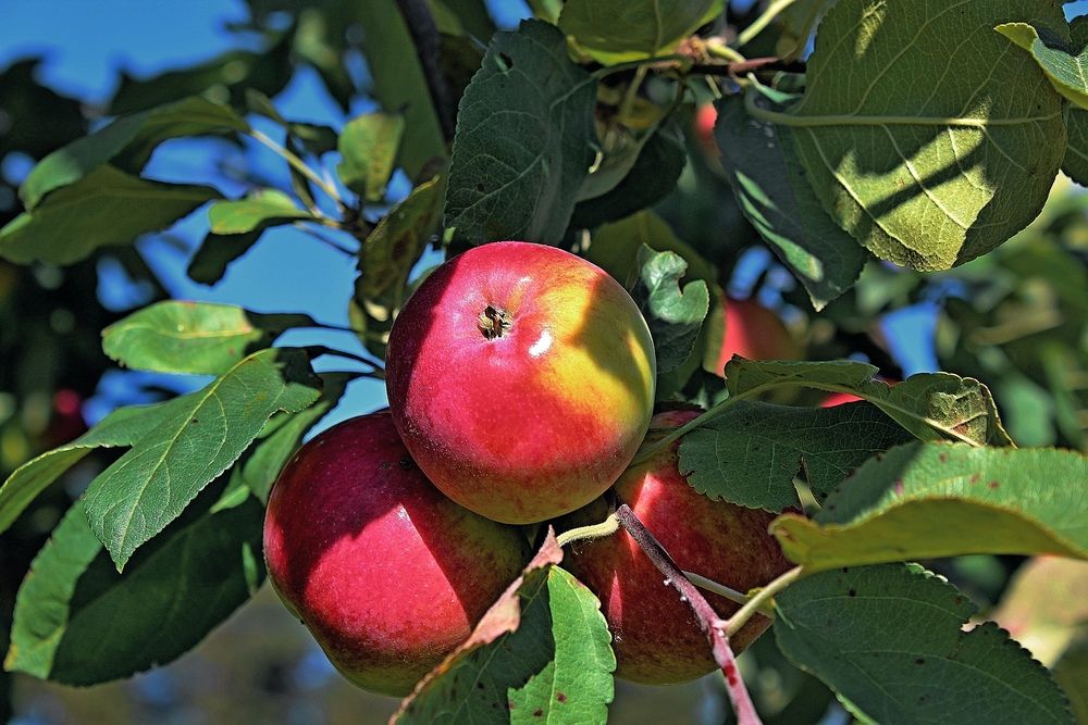 Photograph by Юлия Иванова