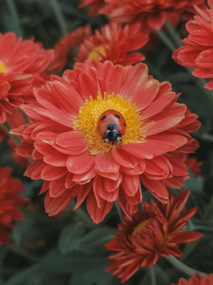 Photograph by Наталия Соболева