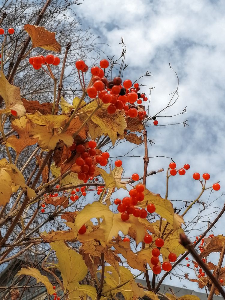 Photograph by Наталия Соболева