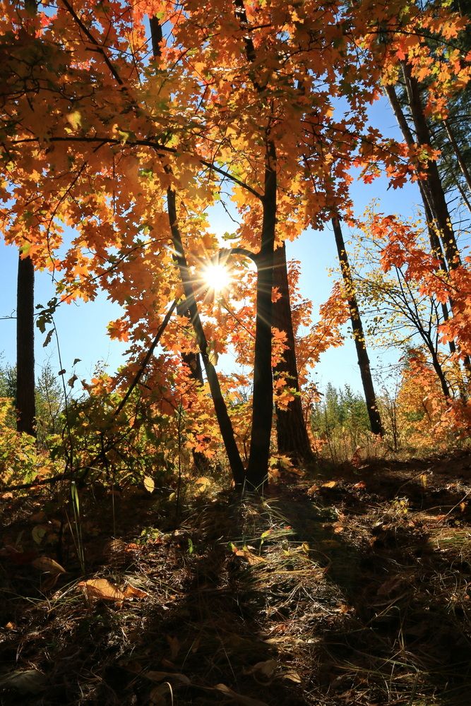 Фотография автора Юрий Звонарев