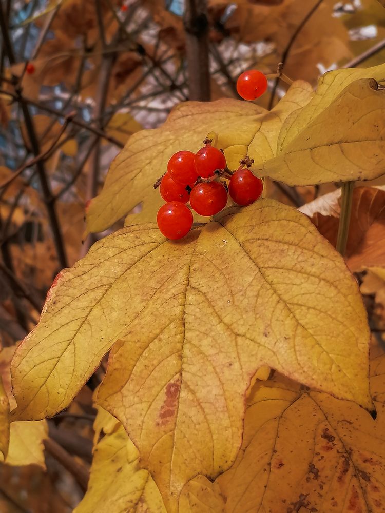Photograph by Наталия Соболева
