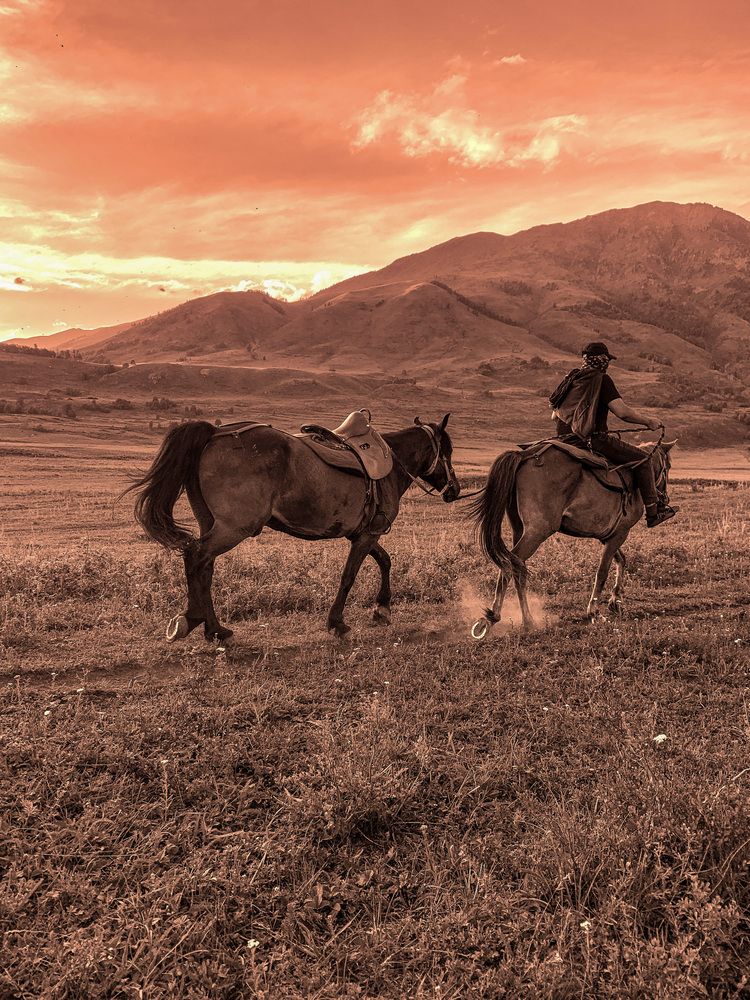 Фотография автора Mustafa Akseli