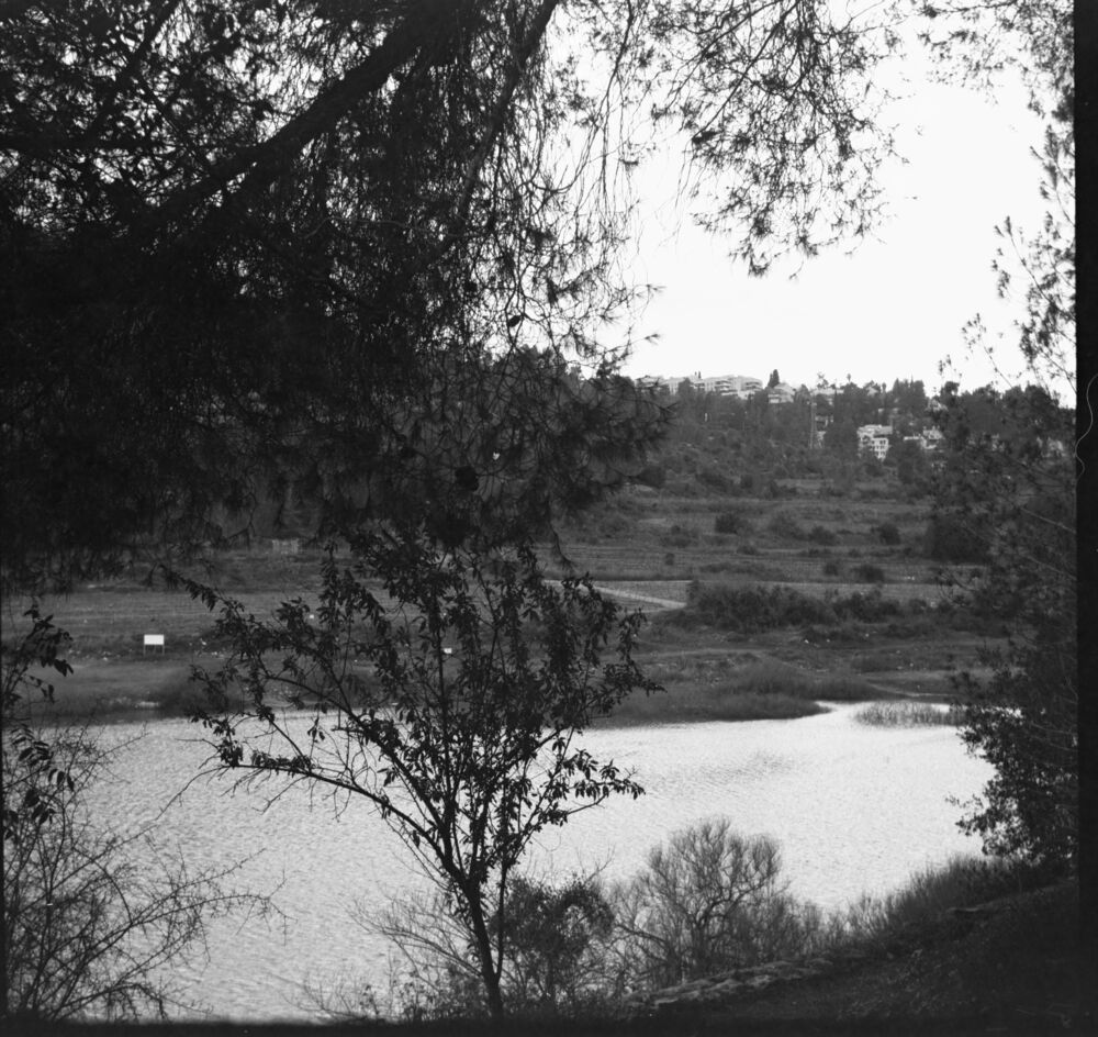 Фотография автора Vladimir liametz