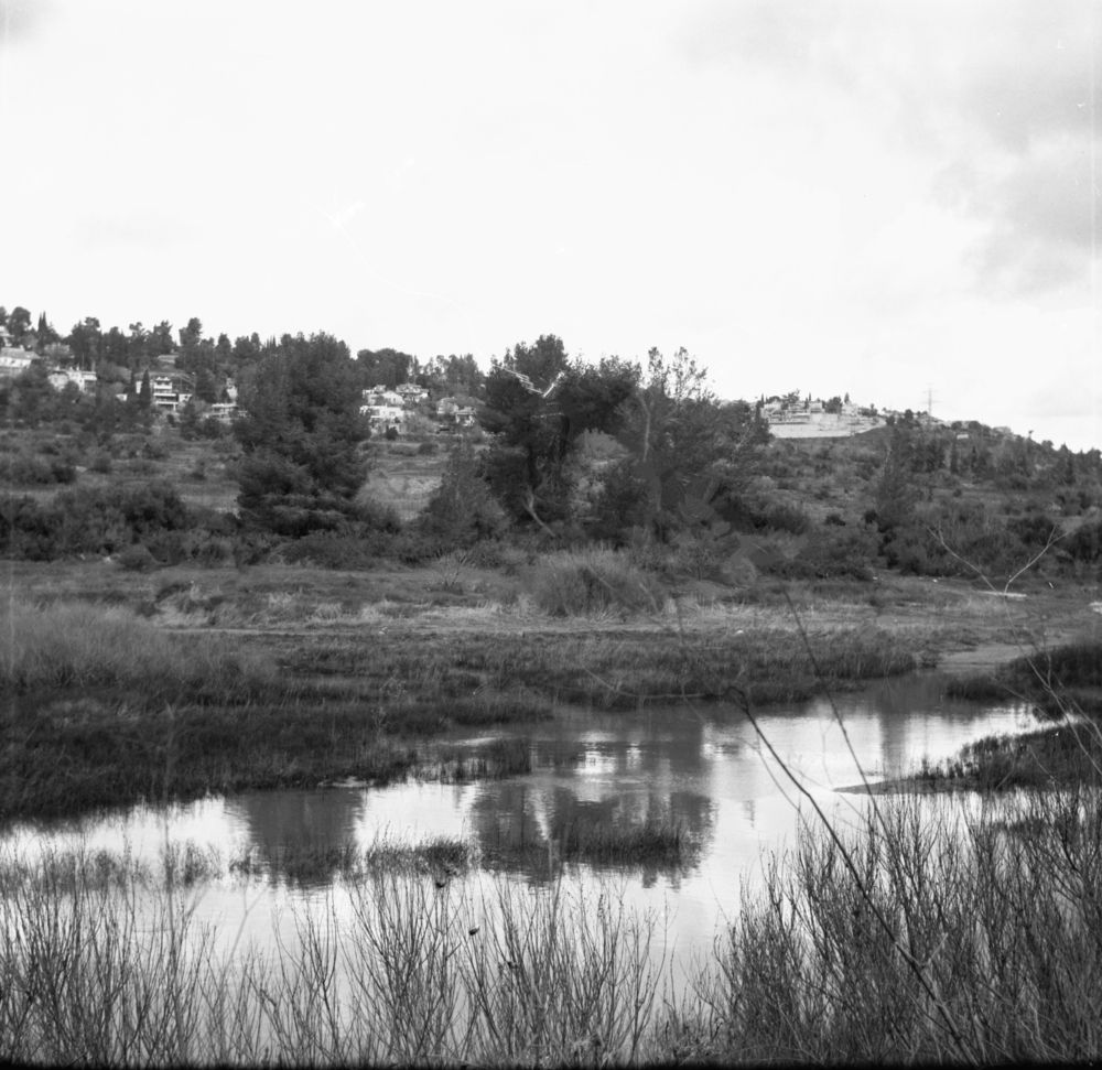 Фотография автора Vladimir liametz