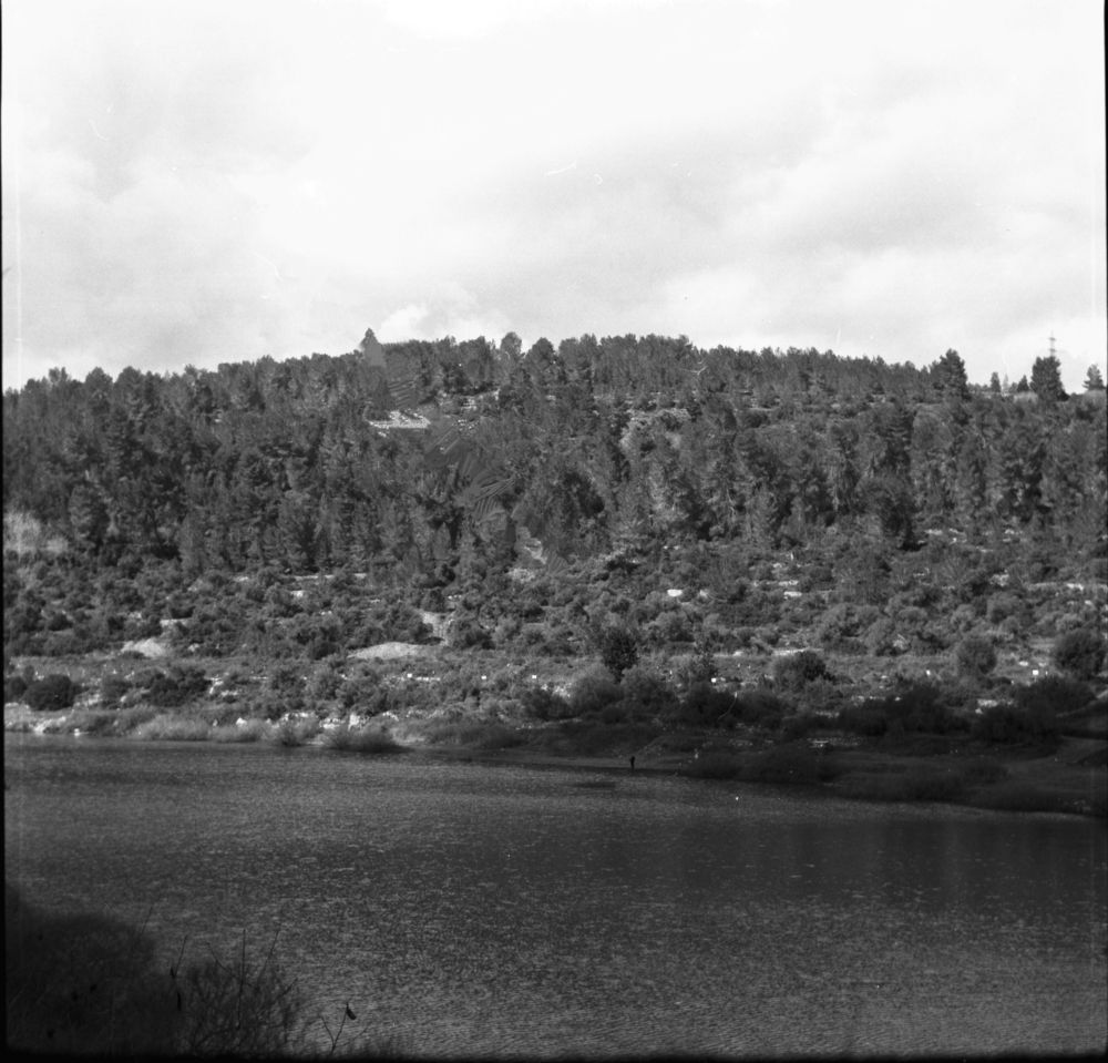 Фотография автора Vladimir liametz