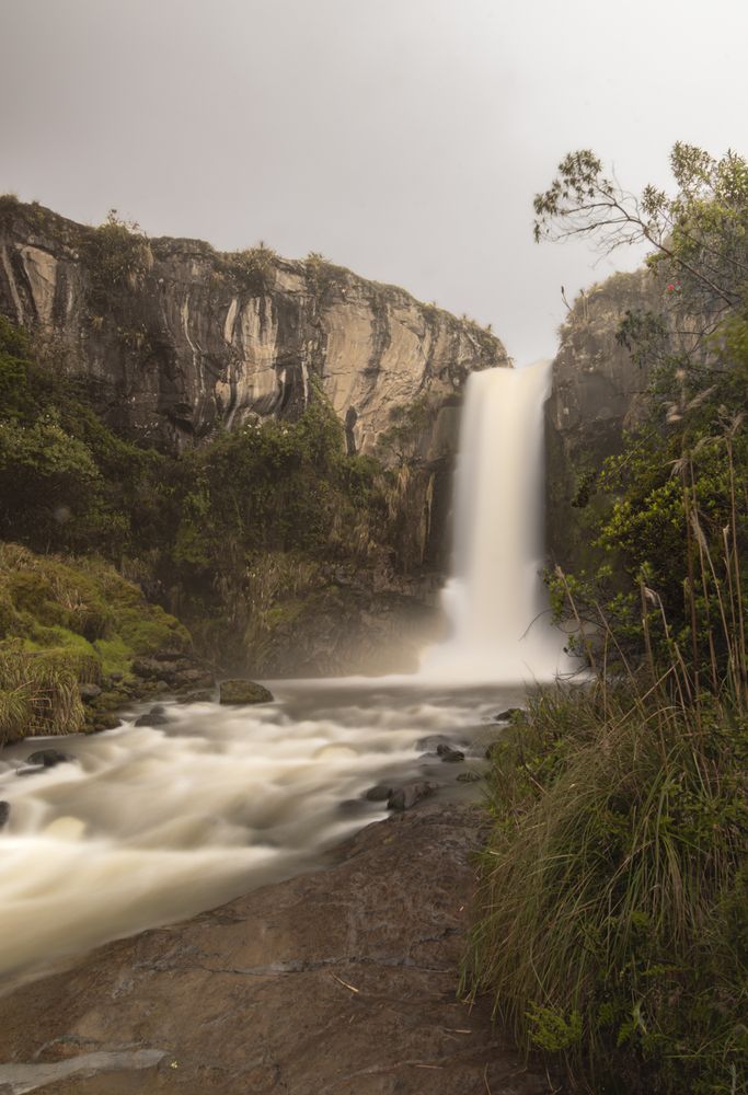 Photograph by Susie Castellano