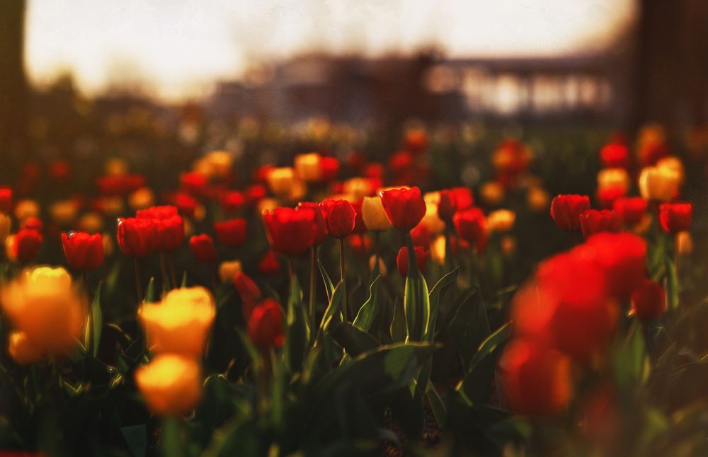 Фотография автора Оксана Пономаренко