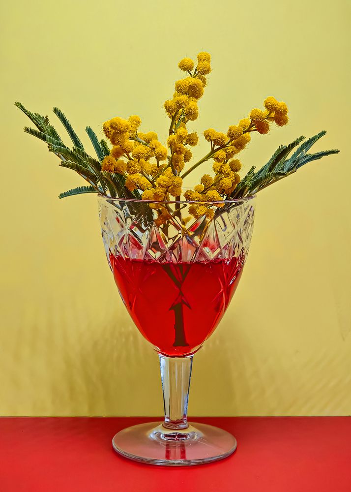 Photograph by Ольга Усова