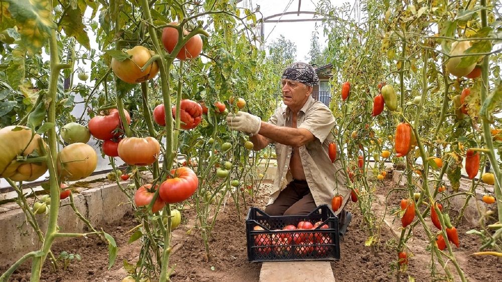 Photograph by Ганина Галина