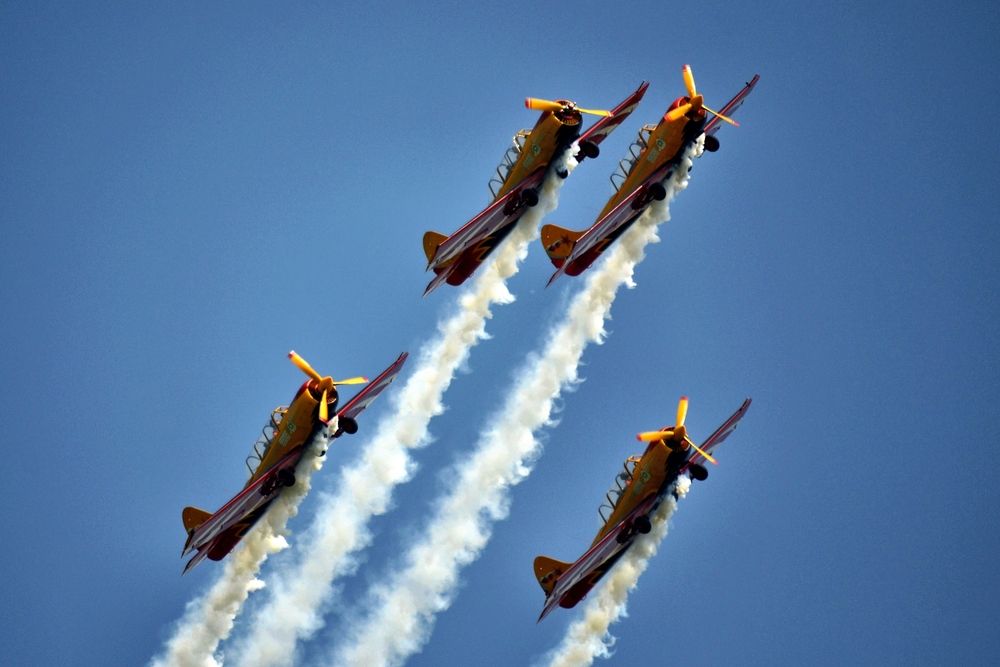 Фотография автора DMITRIY DULIN