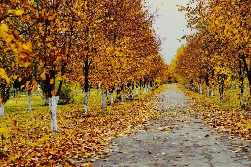 Photograph by Алексей Морозов