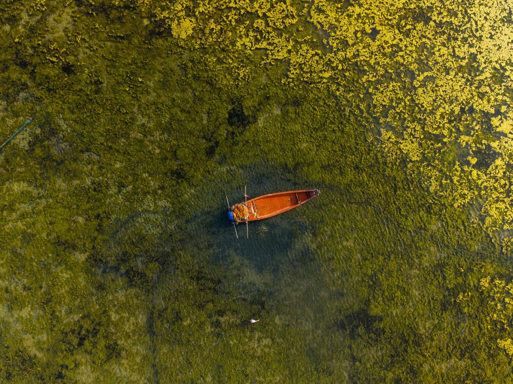 Photograph by surya kumar chintapula