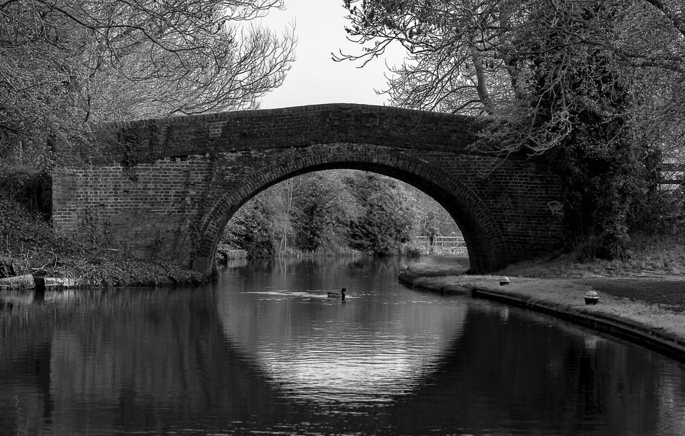 Photograph by Piotr Hryniak