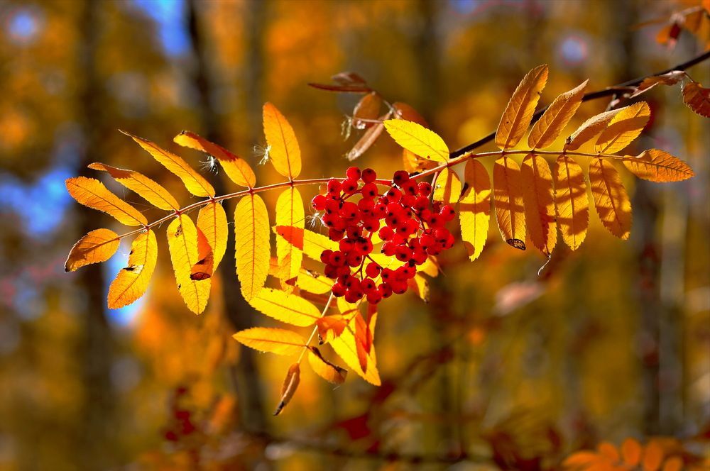 Photograph by Андрей Стародубцев
