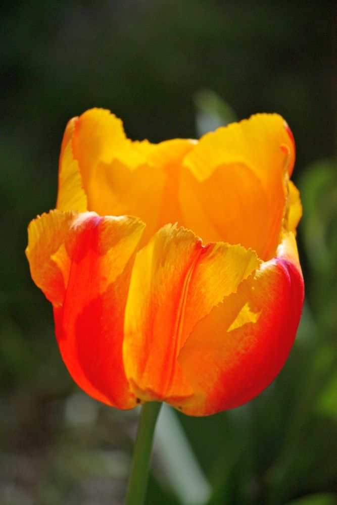 Фотография автора Сергей Христинич