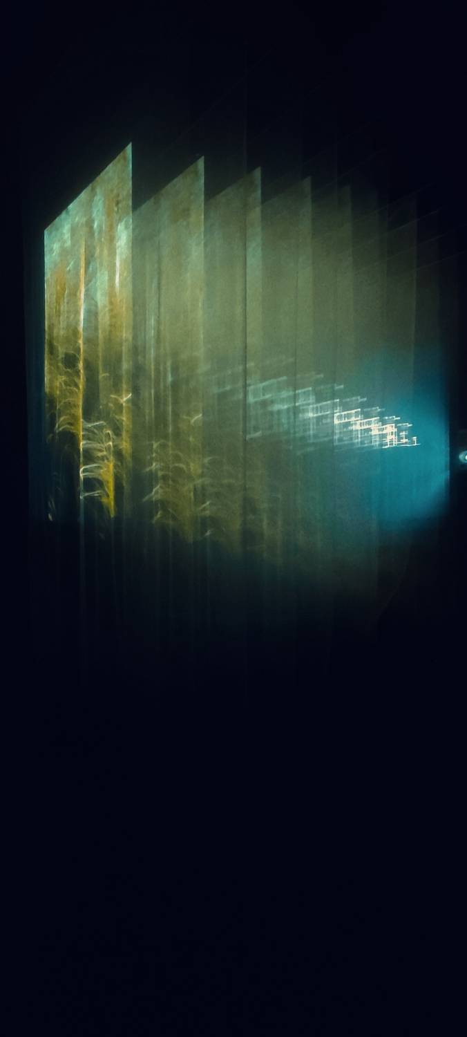 Photo #13421567