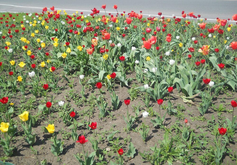 Photograph by Татьяна Иваненкова