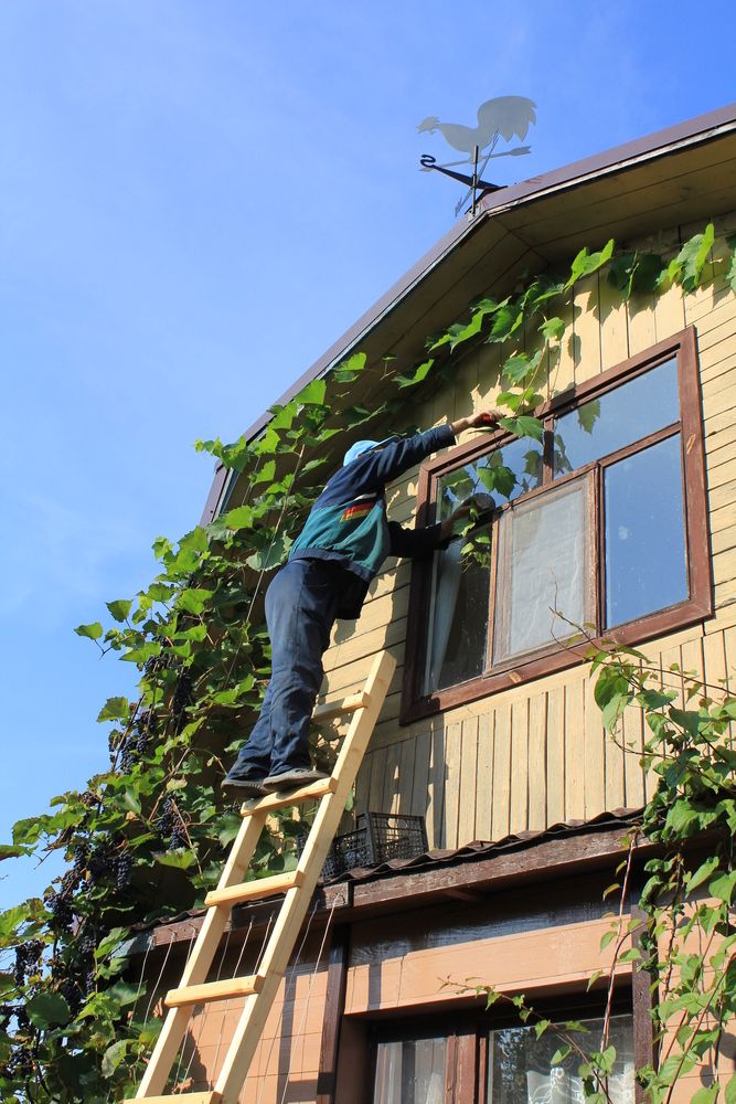 Photograph by Ганина Галина